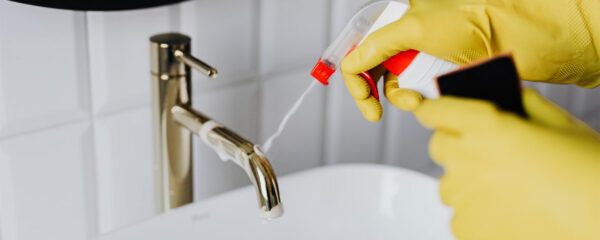 prix d'une femme de ménage pour 2h par semaine